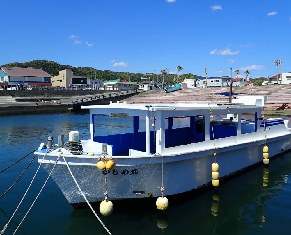 野島崎海底透視船