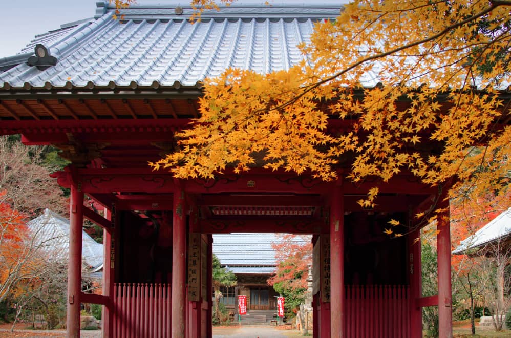 紅葉の名所「小松寺」